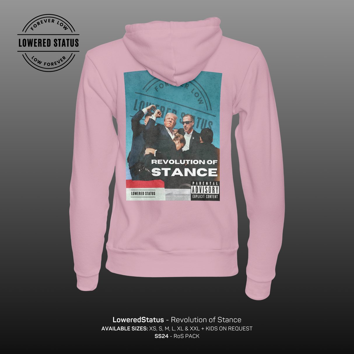 Lowered Status | Revolution of Stance Hoodie