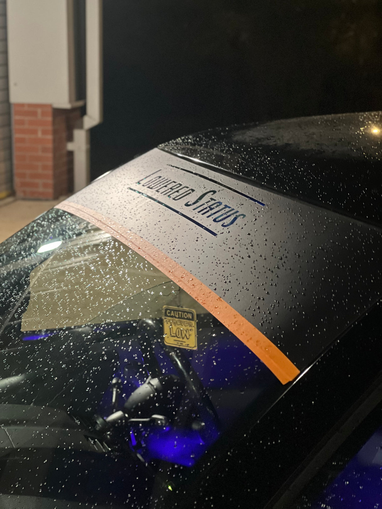 Lowered Status | Cut-Out Sunstrip