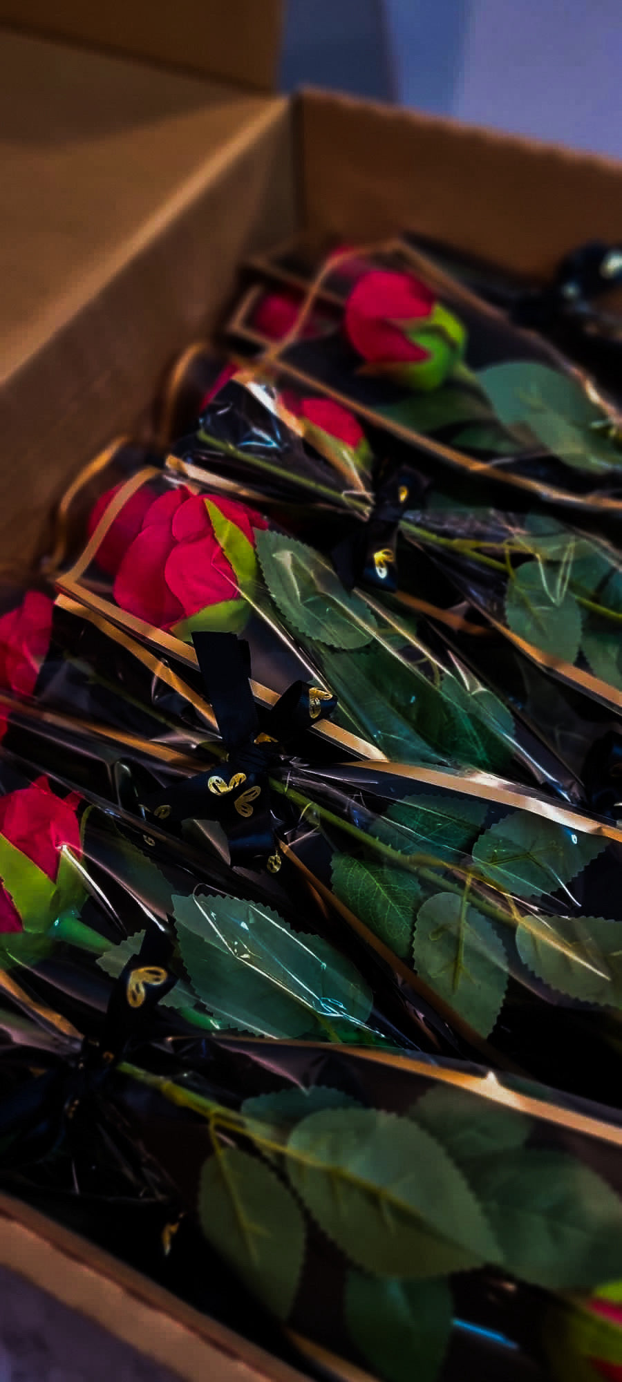 Lowered Status | Valentines Classic Mini Bundle Limited (Sold Out)