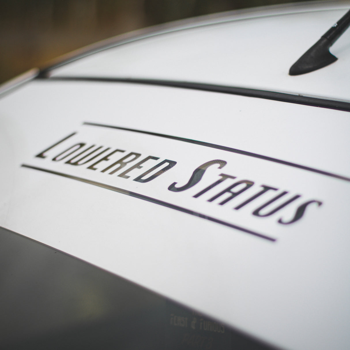 Lowered Status | Cut-Out Sunstrip