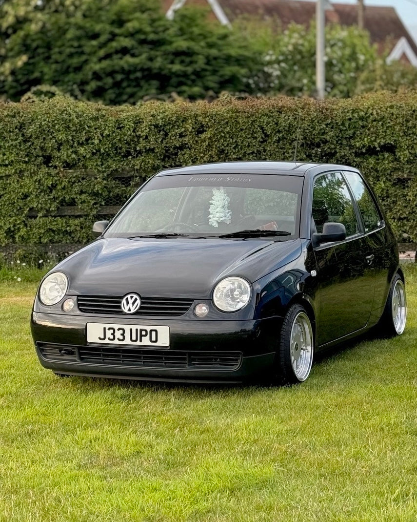 Lowered Status | Cut-Out Sunstrip