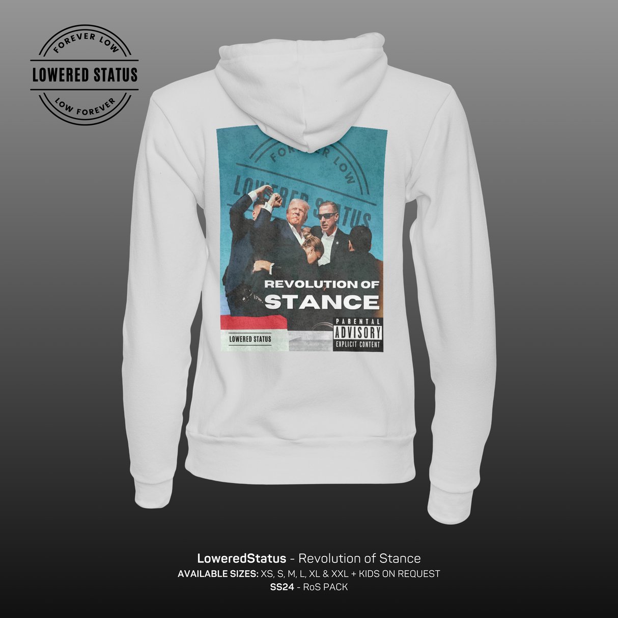 Lowered Status | Revolution of Stance Hoodie