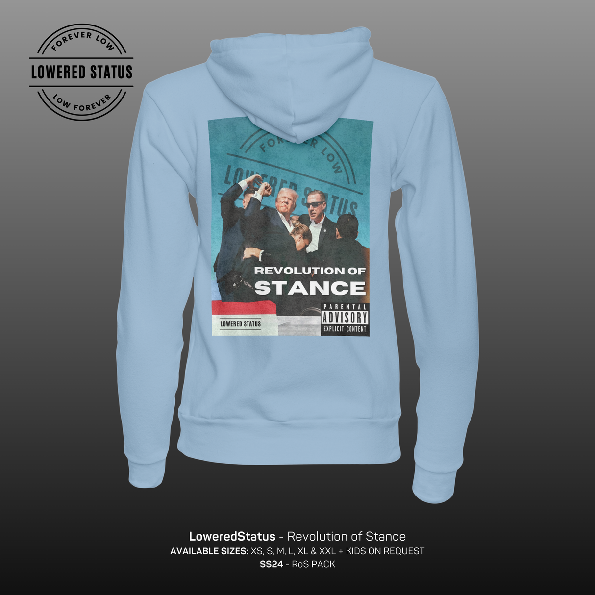 Lowered Status | Revolution of Stance Hoodie