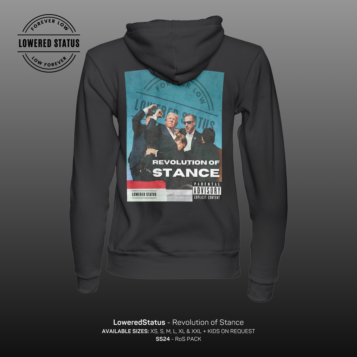 Lowered Status | Revolution of Stance Hoodie