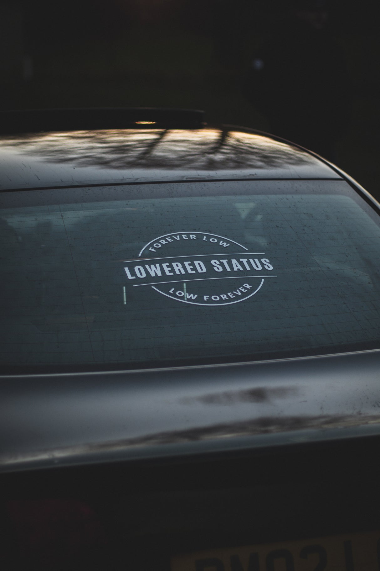 Lowered Status | Low Forever - Vinyl Sticker