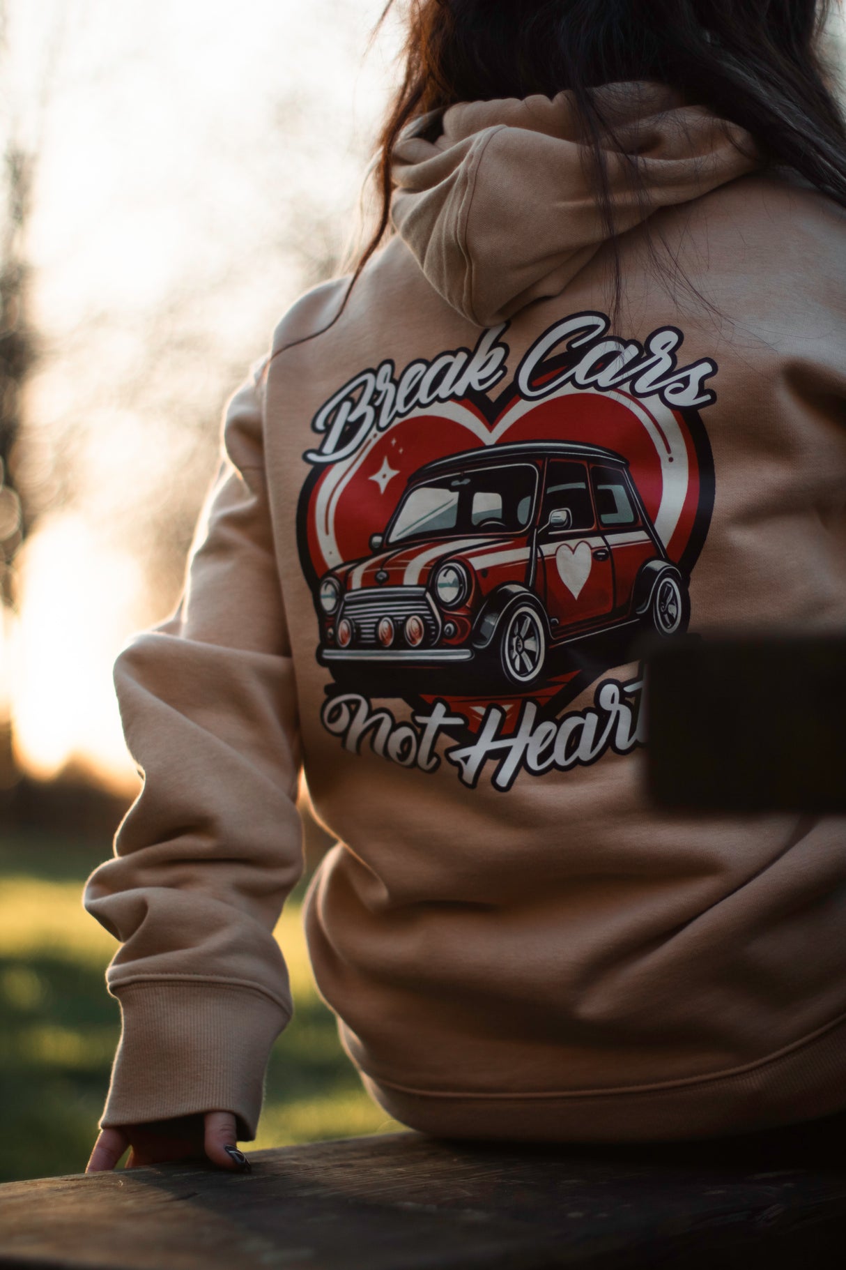 Lowered Status | Valentines Classic Mini Heart Hoodie (Sold out)