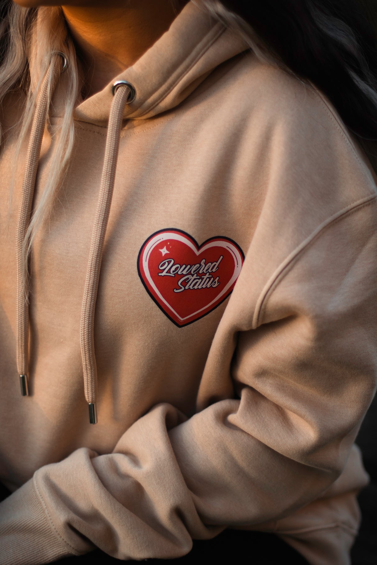 Lowered Status | Valentines Classic Mini Heart Hoodie (Sold out)