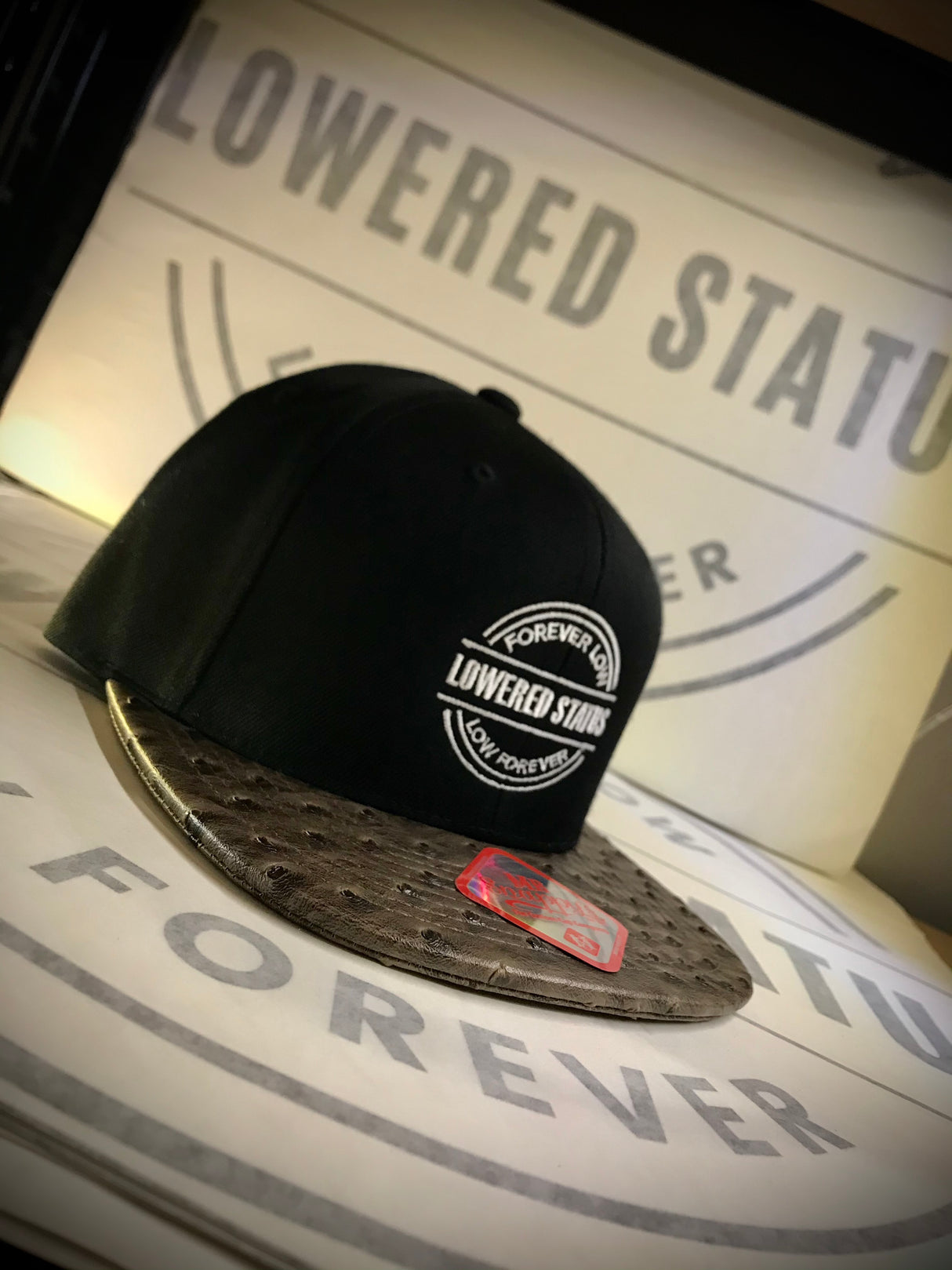 Lowered Status | Low Forever Snapback