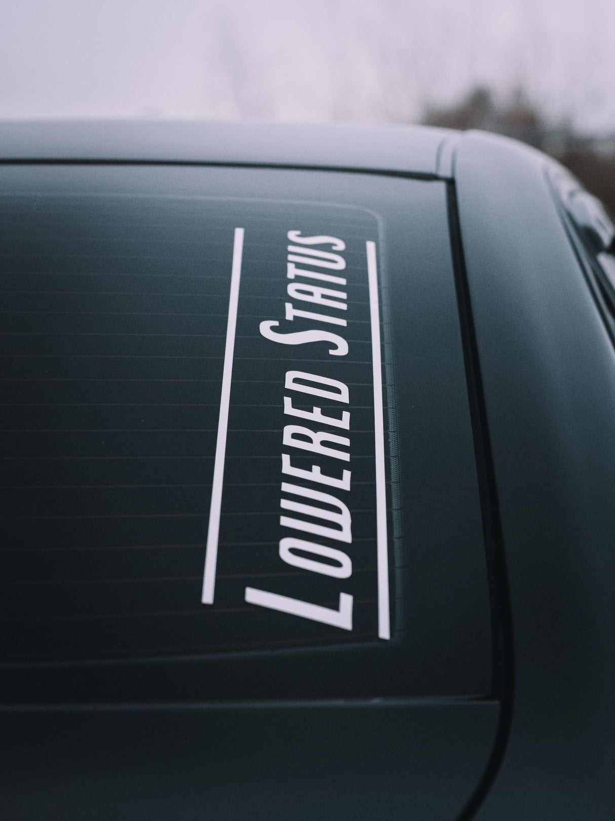 Lowered Status | Original Vinyl Sticker