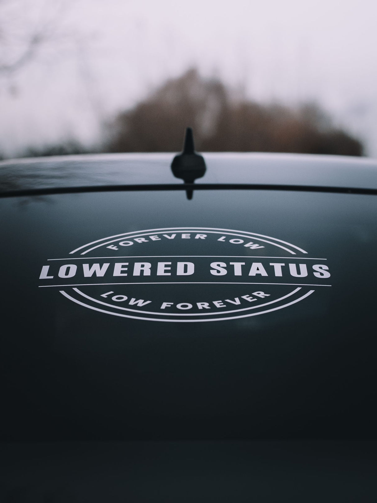 Lowered Status | Low Forever - Vinyl Sticker