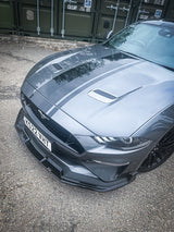 Ford Mustang 5.0L (FL) - Fins