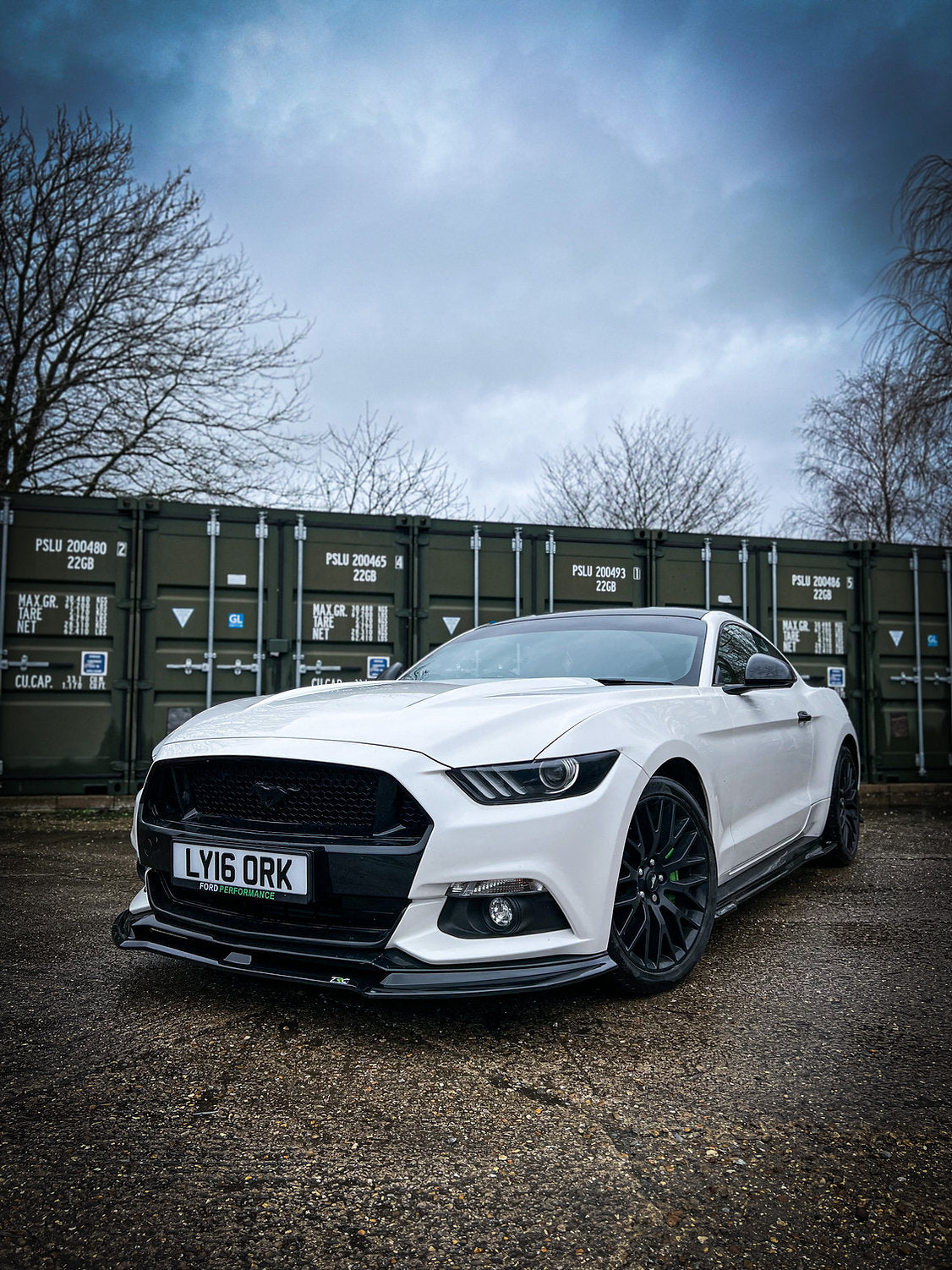 Ford Mustang 2.3L Ecoboost - Low Line Kit